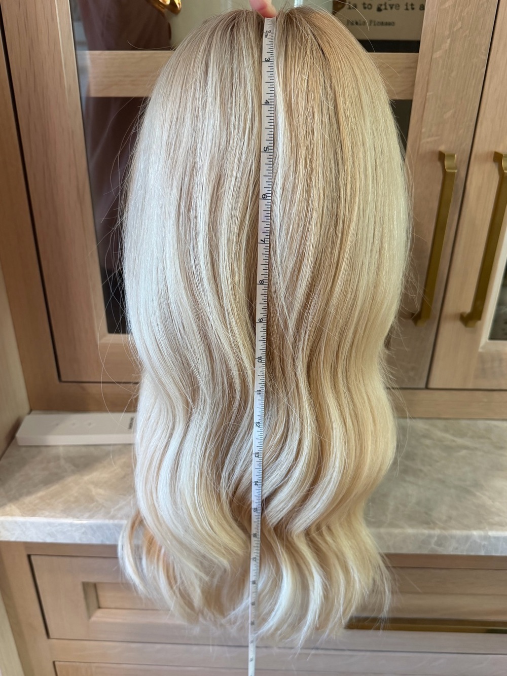 HAIRALICIOUS | Elsa Hosk Human Hair HD Lace Glueless Wig 22” Small - Picture 3 of 14